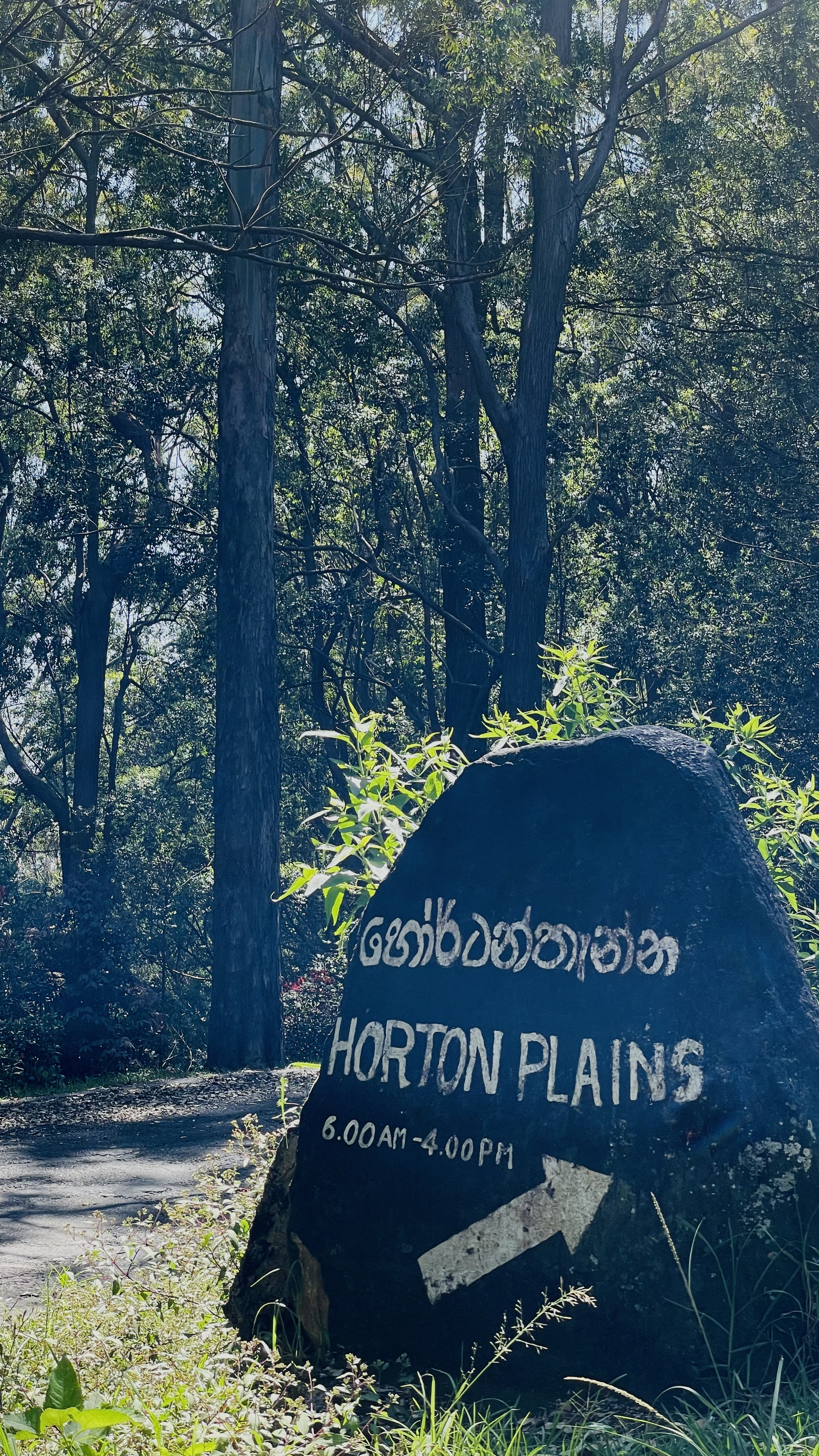 Horton Plains - 2