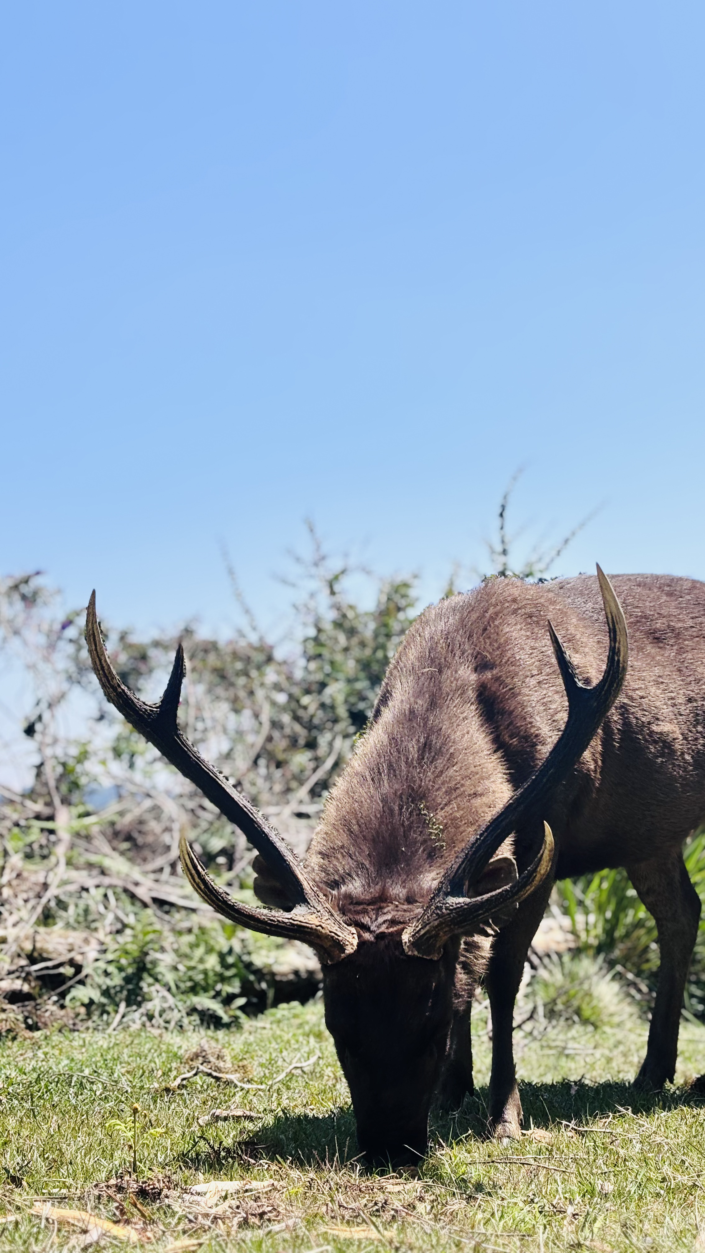 Horton Plains