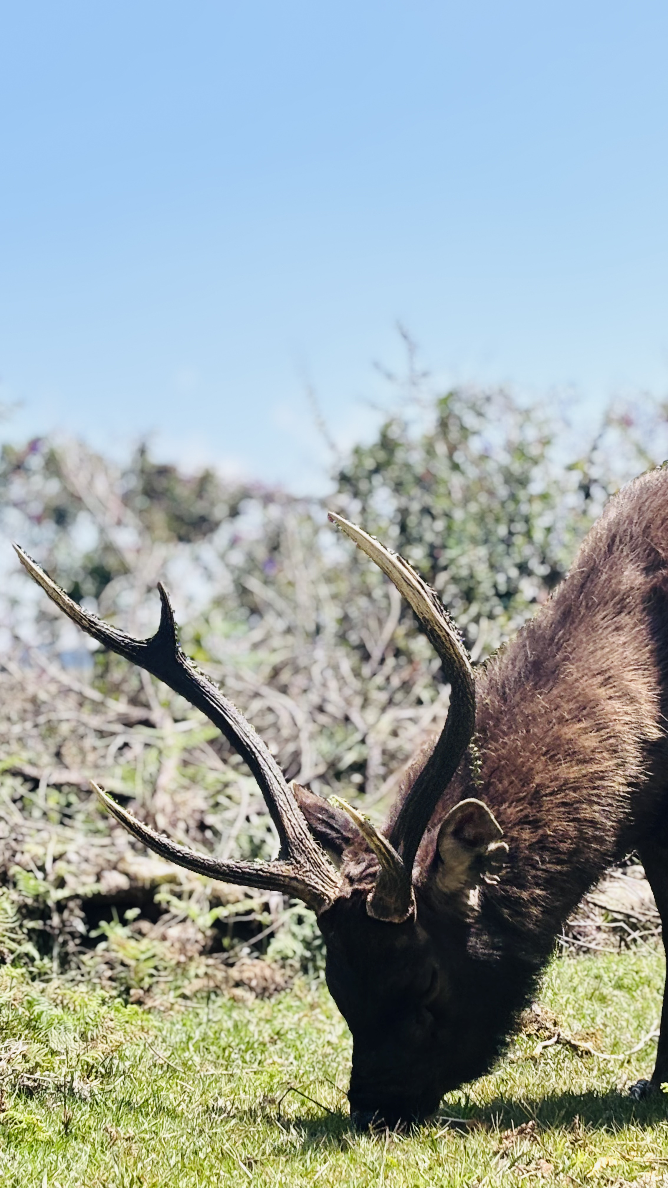 Horton Plains - 3